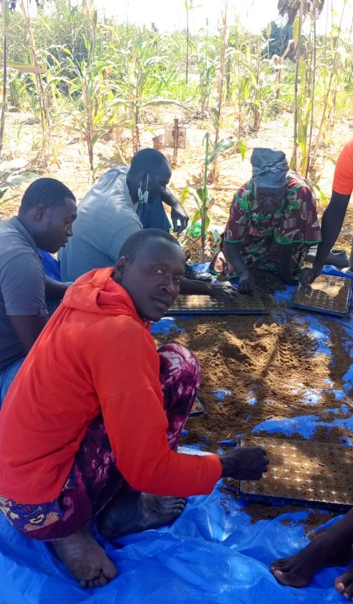 HortiHub Tchad | Production résiliente au climat